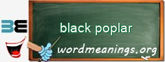 WordMeaning blackboard for black poplar